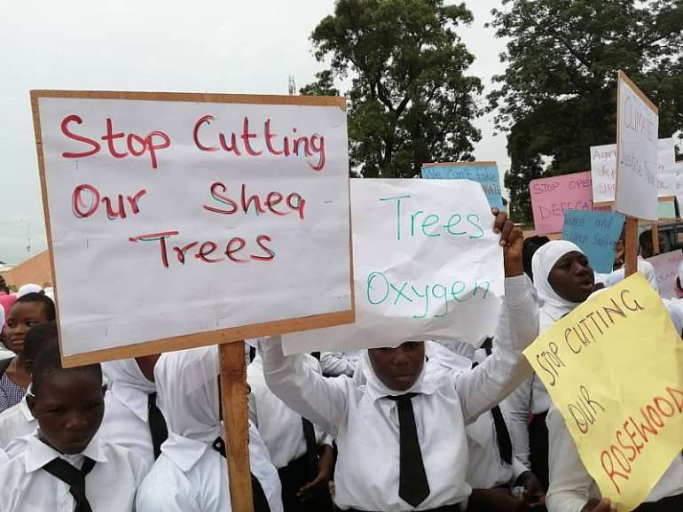 108201922735-0g830m4yxt-bc6ef44e-59e1-46d6-ae4a-a786f4c117fe