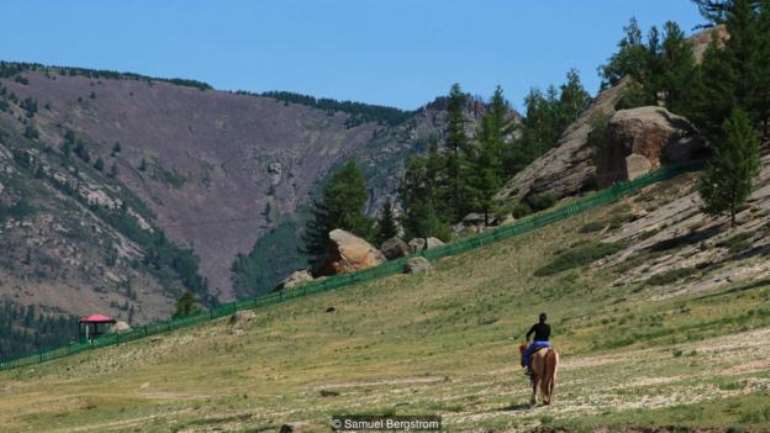 11201863613 p058ybtq