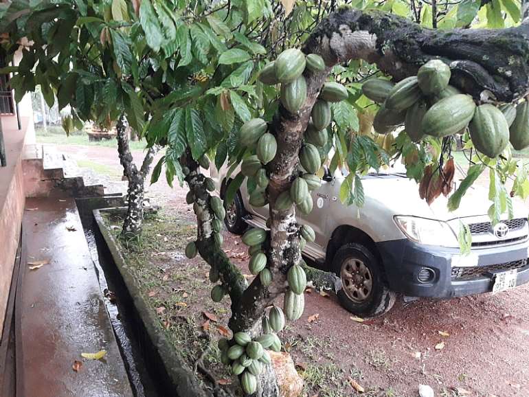 1126201873609 uaqctgfsrn cocoawithmanypods
