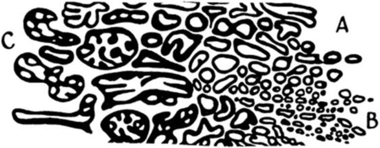 1152016113810 clip image008