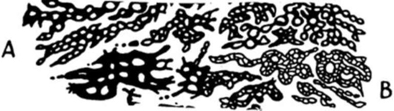 1152016113810 clip image010