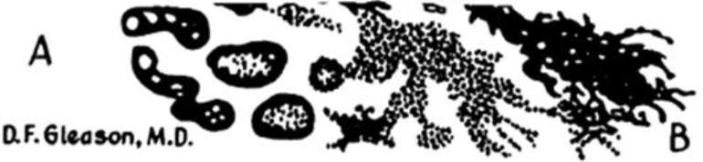 1152016113811 clip image012