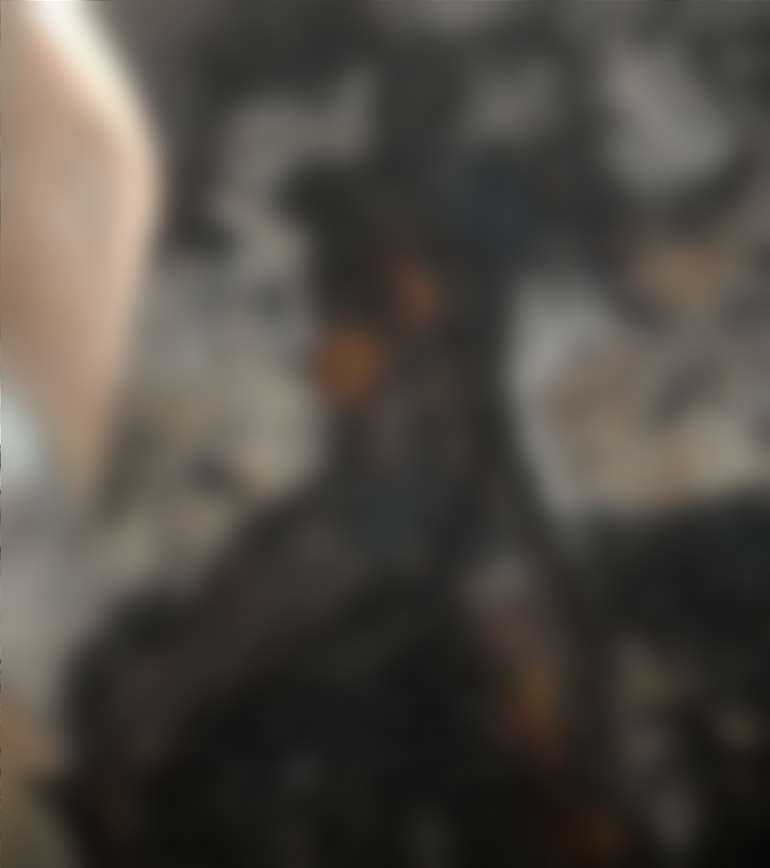 1162023101606-n6iul8w331-fi-3