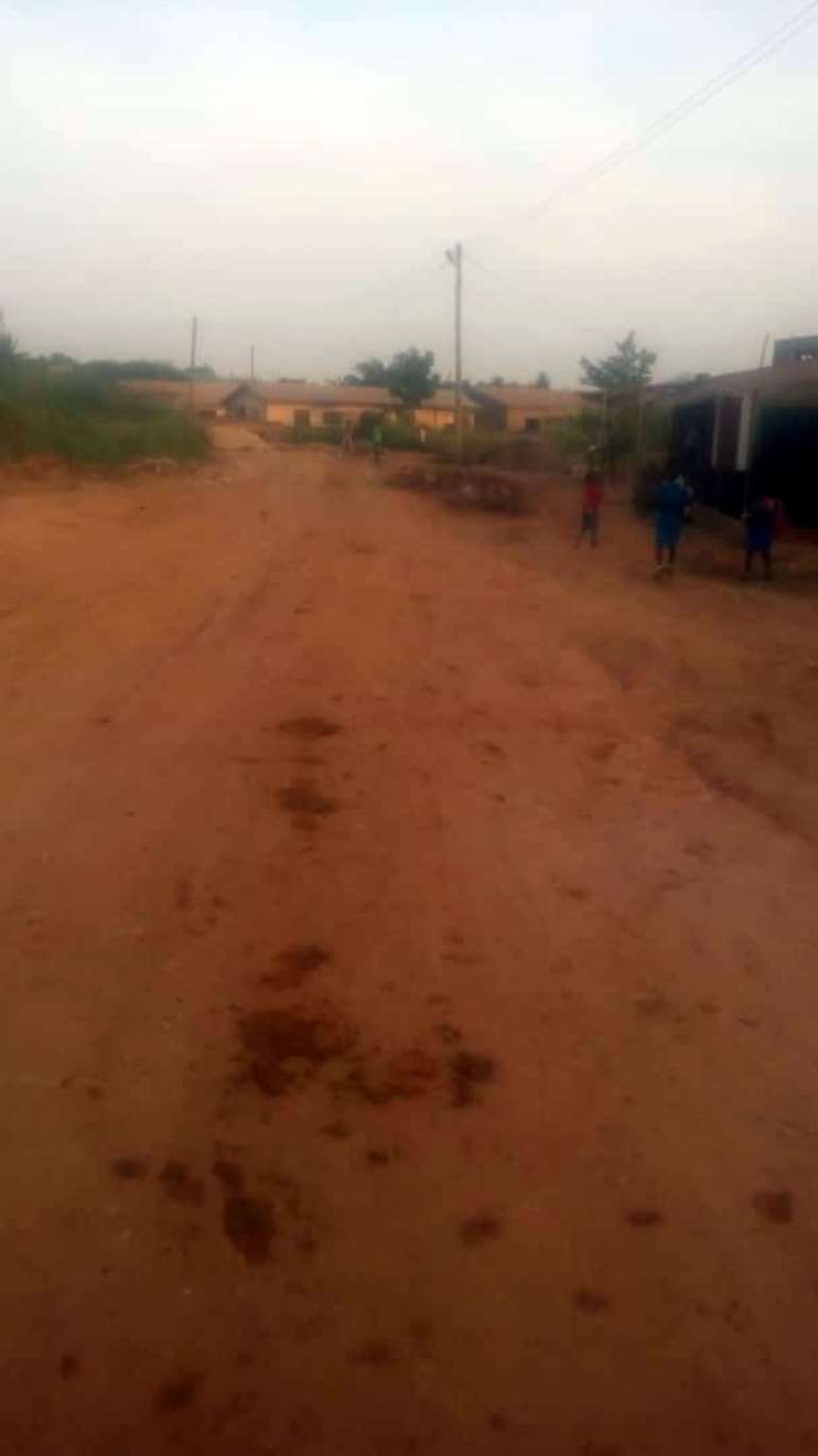 1211201873614 l5hsk8v331 945161500738 3448165703875