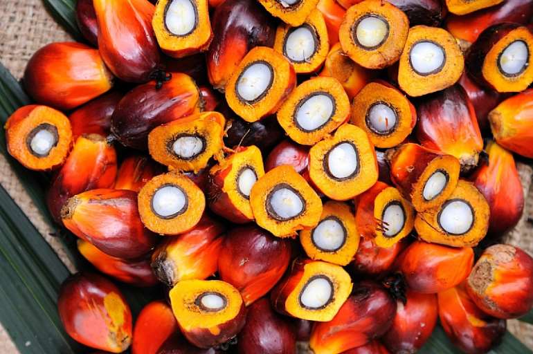 1213201965535-0f72ym3xxs-palm-oil 3