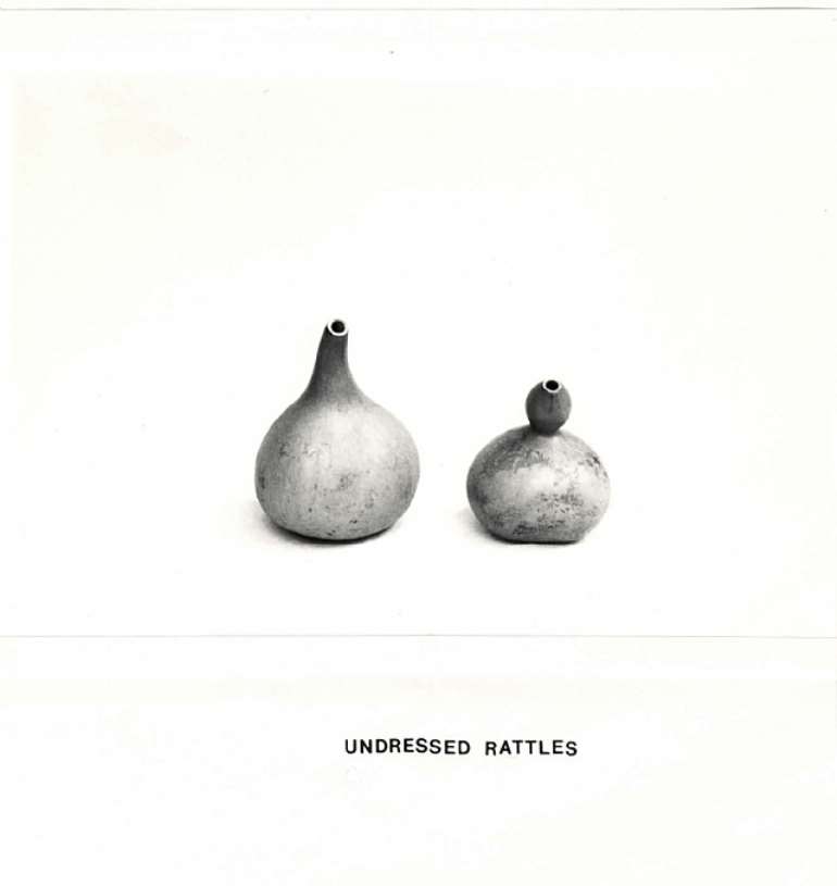 undressed rattle