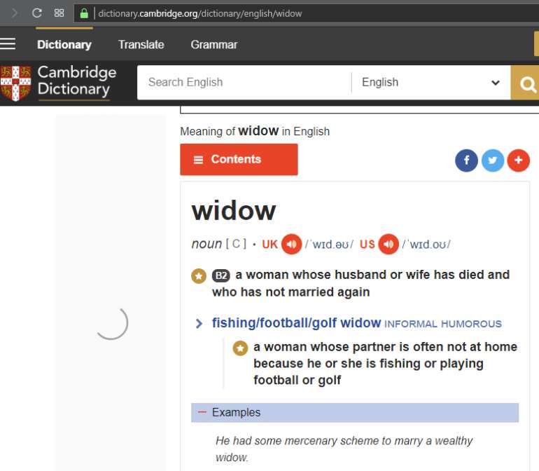 27201924347 0f72ylkxws widow3