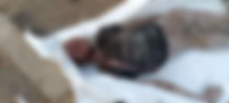 28202543605-l5hsk8v331-28202541236-dead-3dead-2