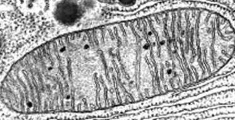 322018121647 image005