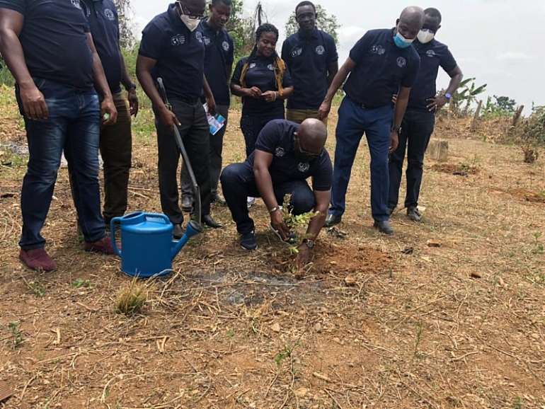3232022123610-i4ep276gfa-tree-planting-gwcl-1024x768