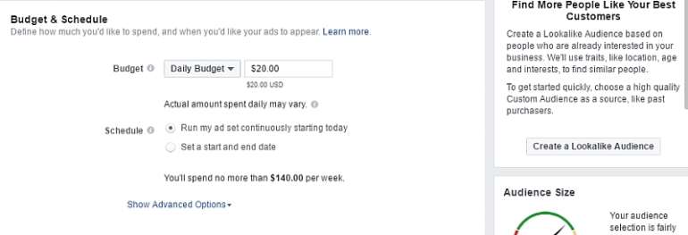 530201732526 facebookbudget