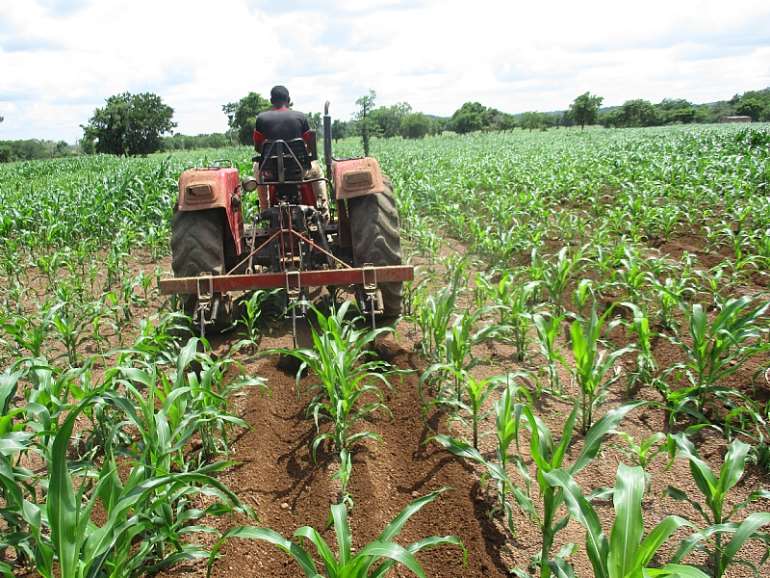 8132019121041-qulxoca443-farm-2