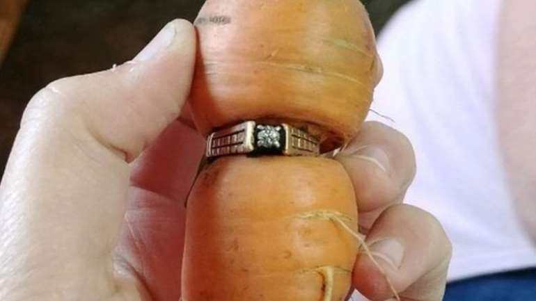 8202017120645 ringoncarrot2750x422