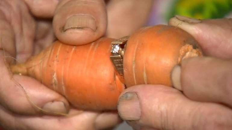 8202017120645 ringoncarrot750x422