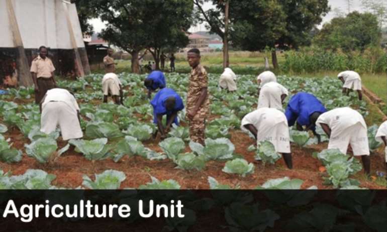 89201860615 agric