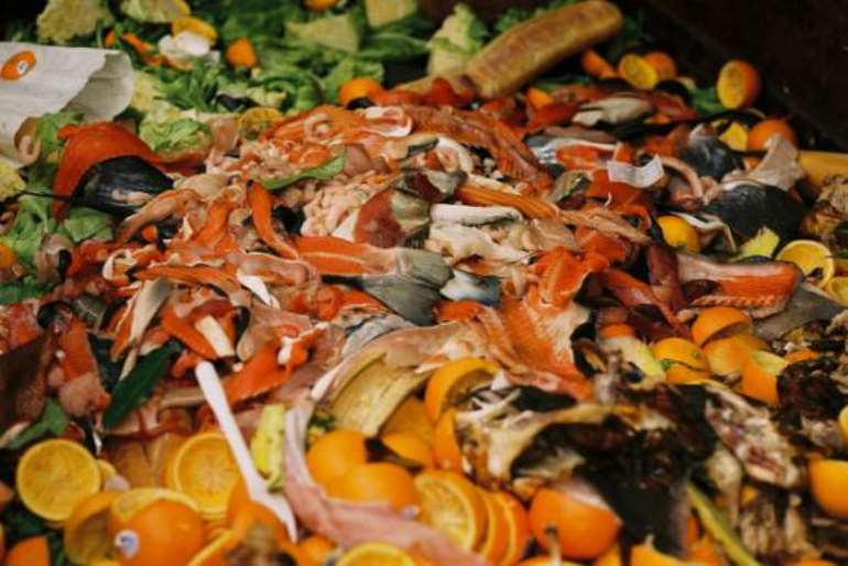 9202017121605 organicwastes