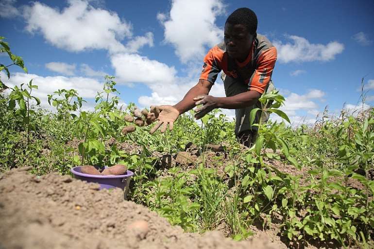 diy3con00v farmer steven of malawi 2