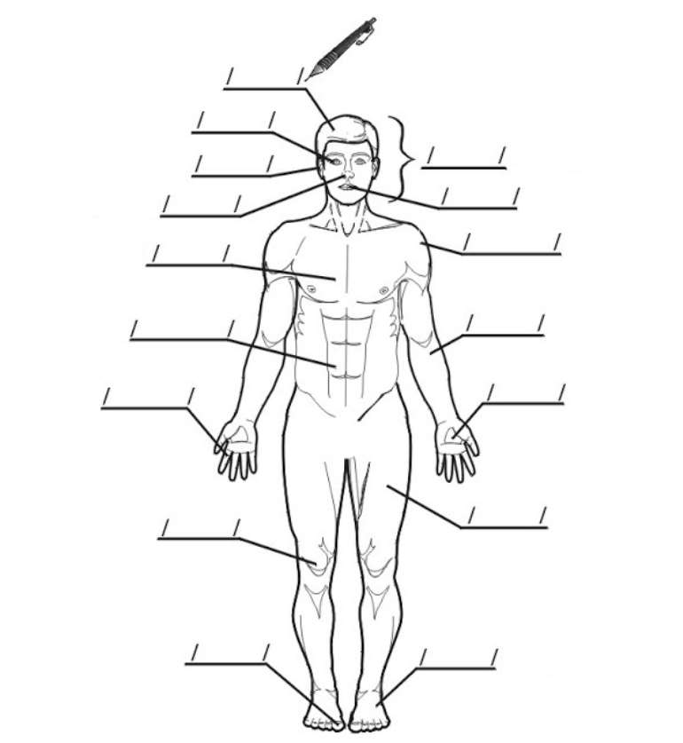 j41qhu6ggb_body1.jpeg