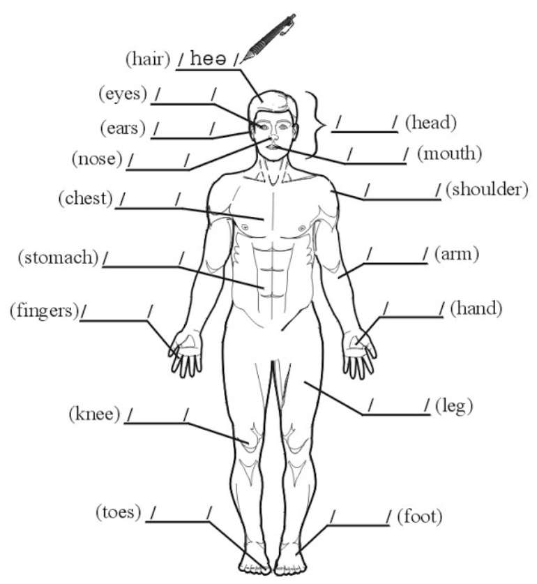 typb6fer64_body1.jpeg