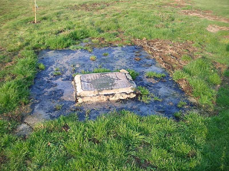Septic-tank-flooded
