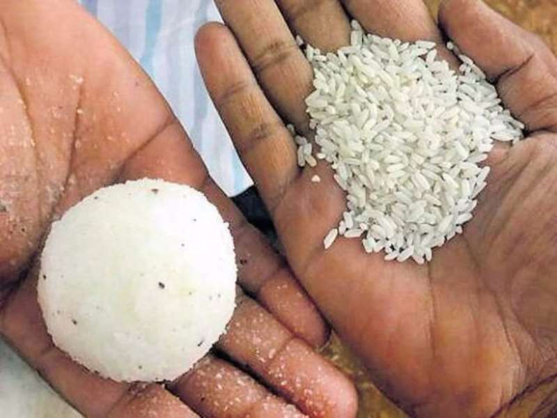 A normal-looking rice ball