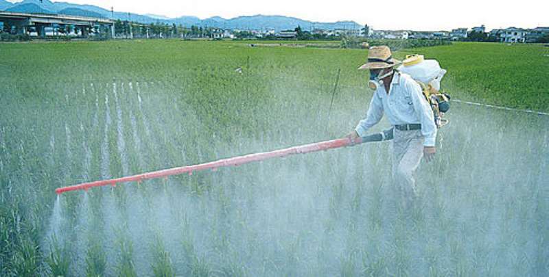 A Farm Being Sprayed