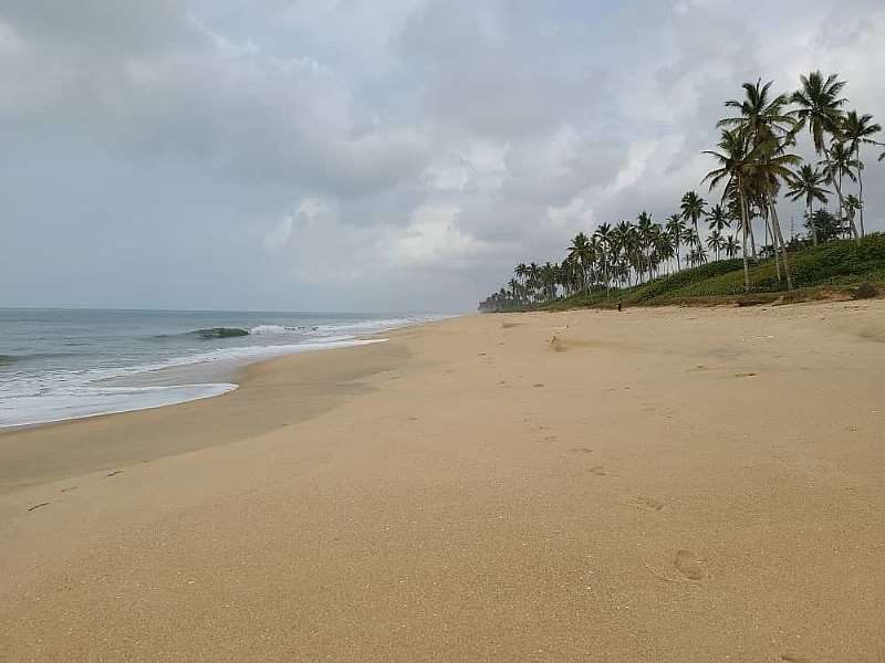 122021124916-1h830o4bau-beach.jpeg