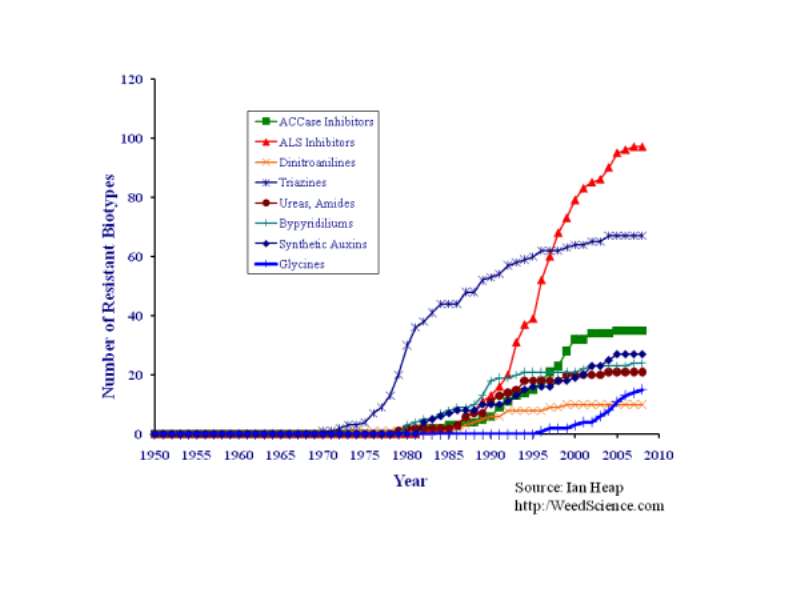 The vertical axis shows the number of species of weeds that have become chemical resistant, the horizontal axis shows the years. You can see the exponential increase starting about 1970 when Monsanto introduced Roundup, and continuing into 2010. (click to enlarge)