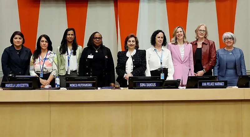 312202623533-wbrevihuto-csw70unwsideeventecosoc