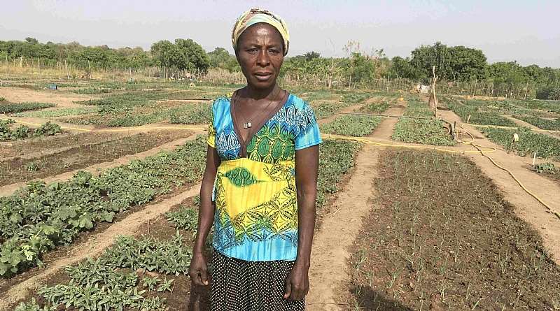 315201962740 1h830o4aau rose in her vegetable farm 2