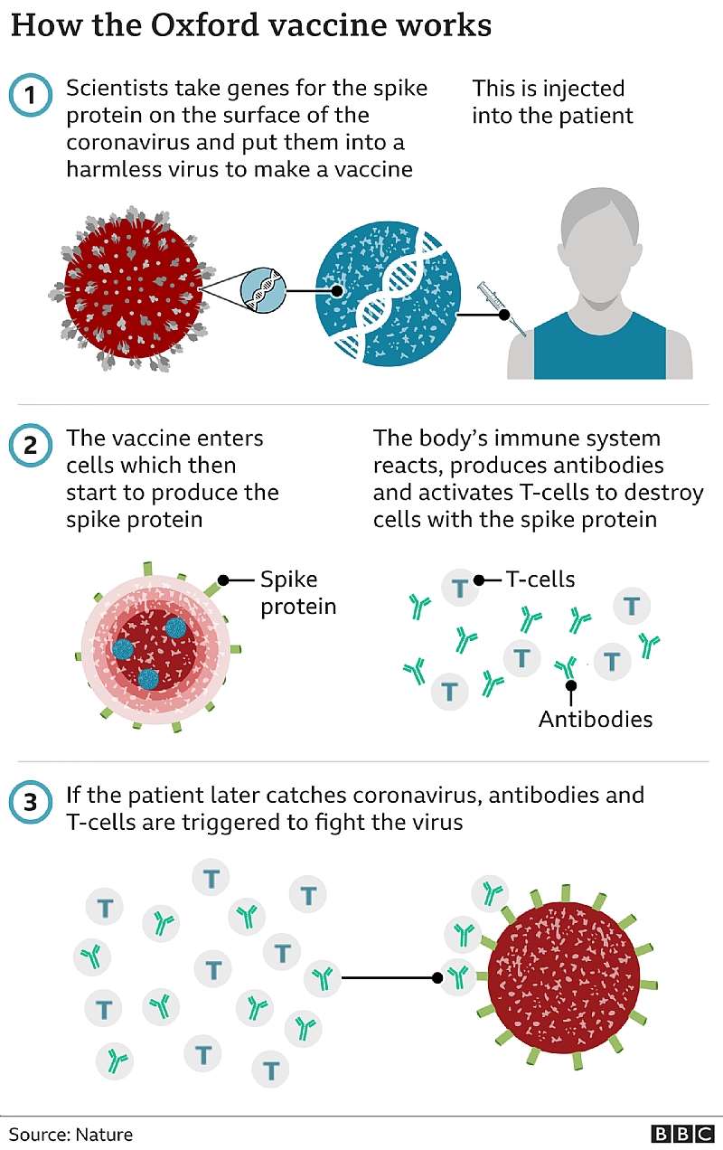 362021124721-i41p266ffa- 116299941 oxford coronavirus vaccine 640 3x-nc