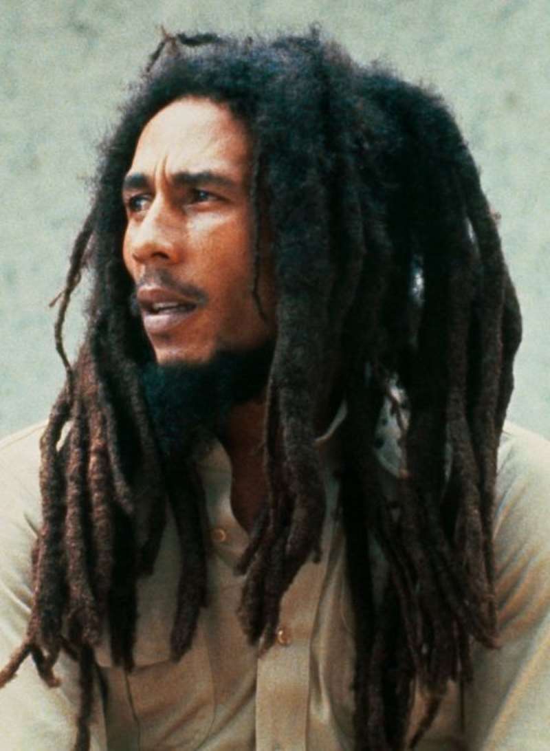 3. The Worlds Greatest Reggae Artist Covered With Dreadlocks
