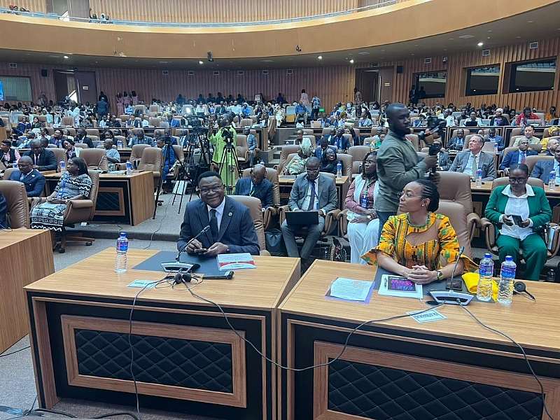 514202665619-1i840p4bbv-delegates-at-the-87th-ordinary-session-of-the-african-commission-session-in-banjul-the-gambia.jpeg