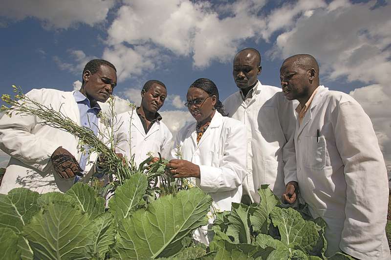 2009 AWARD Fellow, Florence Olubayo from the University of Nairobi Kenya