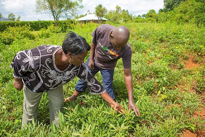 2009 AWARD Fellow, Mary Oyunga, on a farm visit