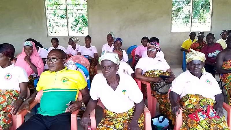 530202382348-l5hsk8v331-bekwai-3