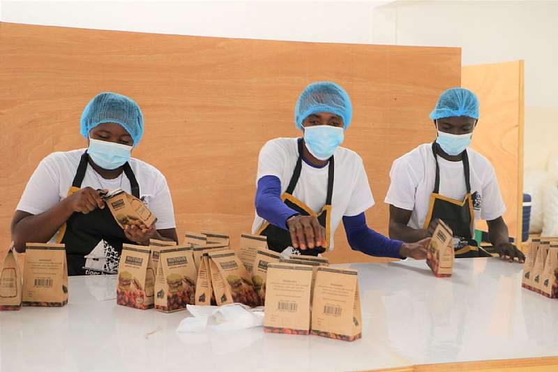 55202165547-j4eq276ggb-undp gh tiger nut 2021 packaging-small