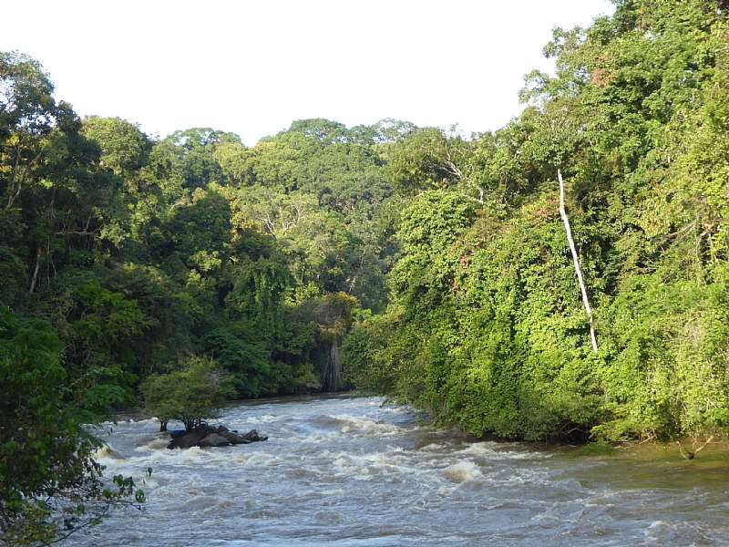 Lofa River Liberia  Conservation Internationa Photo By Peggy Poncelet