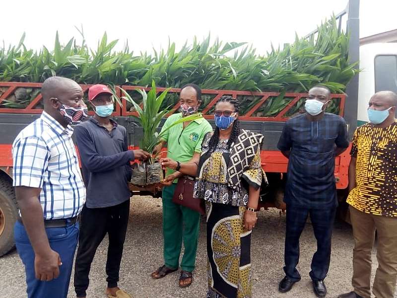 719202072430-l5hsk8v331-img-20200719-wa0026