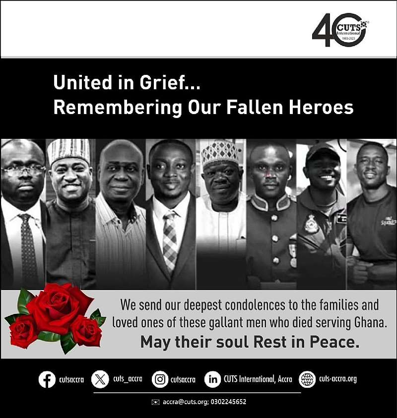 88202521202-8ds2wjivup-cuts---plane-crash-victims.jpeg