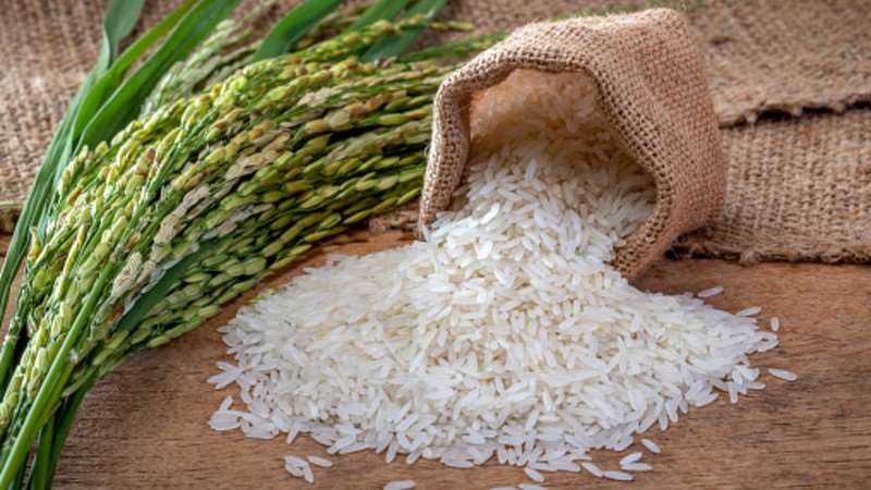 915202053839-h41o2s6fey-rice-image