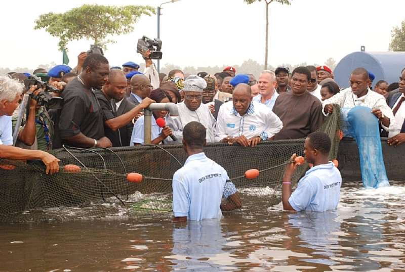 AGRIC 007, FMR PRESIDENT OBASANJO, GOV AMAECHI AND OTHERS OBSERVING THE OPERATIONS OF THE BUGUMA FISH FARM