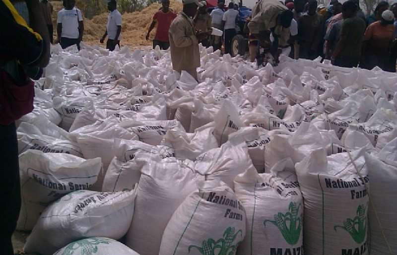 BALING AND PACKAGING OF THE MAIZE AT THE FARM