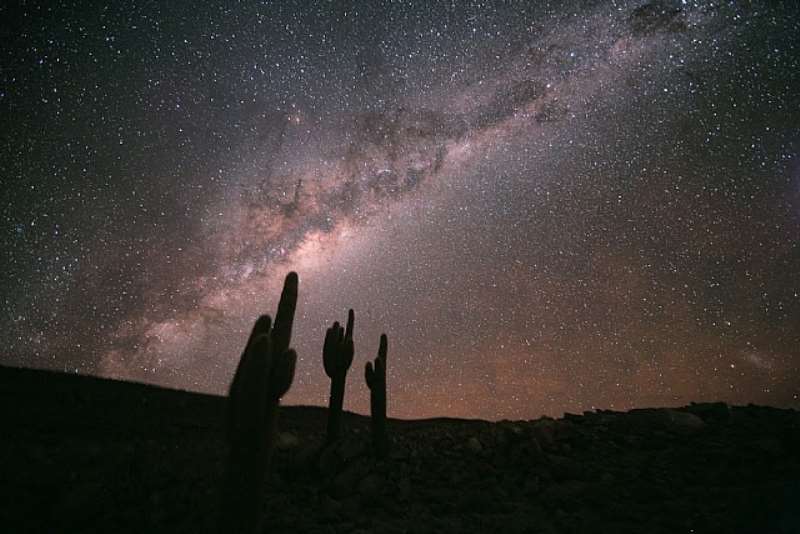 MILKY-WAY-ECHINOPSIS-ATACAMENSIS