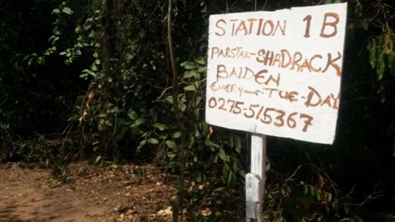 Inside The Achimota Forest Reserve