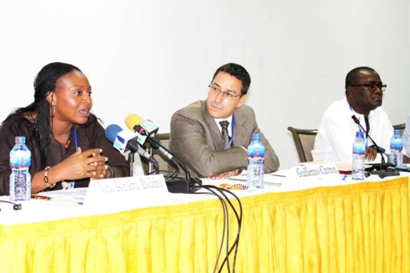 MRS. NANA AFADZINU, EXECTUVIE DIRECTO OF WASCI, MAKING A POINT