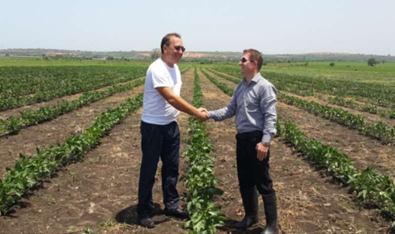 Mr.  Michael Glynn Right And Mr. Alexander Stoica Right In A Handshake At Fast Fresh Farms As A Symbol Of Determination To Contribute To Food Security In Ghana