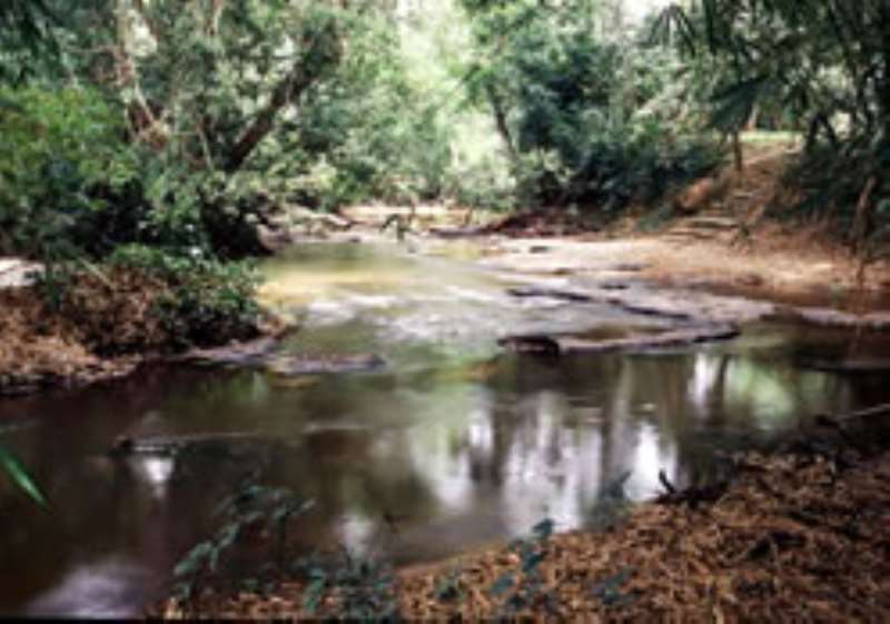 The Slave River