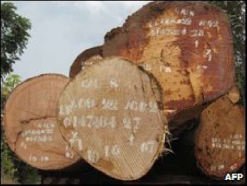The rate of deforestation in Africa is four times the world s average