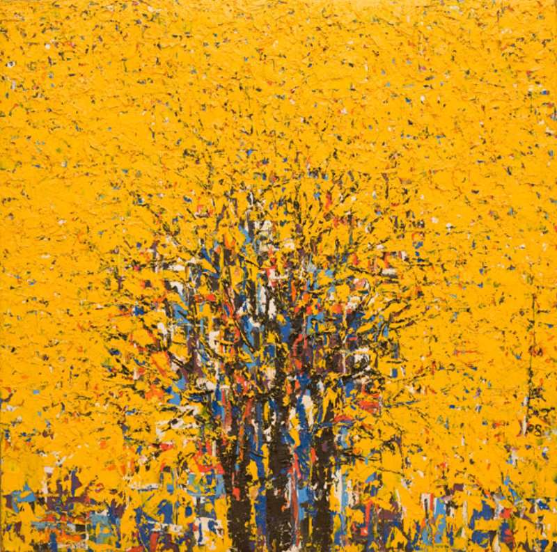 YELLOW FOREST